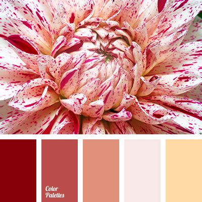 gentle shades of beige | Color Palette Ideas