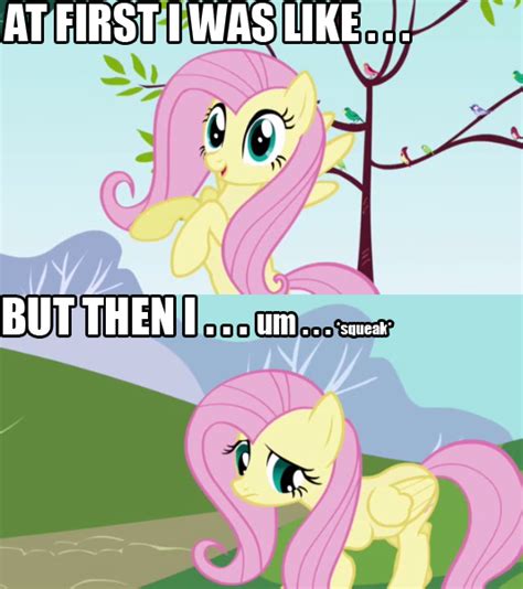 Fluttershy Quotes. QuotesGram