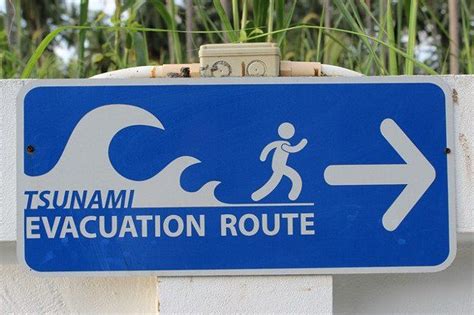 Tsunami Preparedness | Tsunami, Tsunami warning, Evacuation