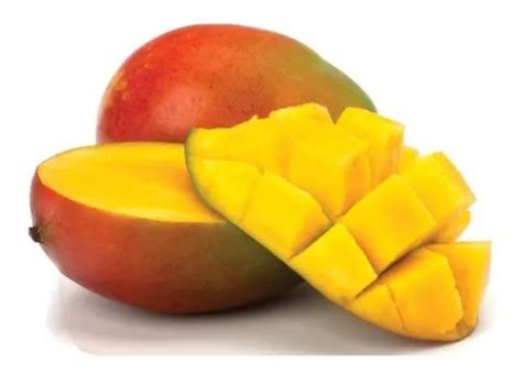 Arbol De Mango Enano Para Maceta Envios Dhl en venta en Cuernavaca ...