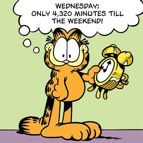 Pin by Kay Skarpetta on Garfield | Morning quotes funny, Good morning ...