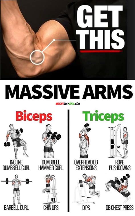 Build Your Arms | Guide