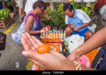 Fruits in Cayenne market, Guyana, Cayenne, France Stock Photo - Alamy