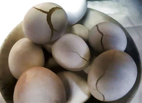 Hard Boiled Eggs Free Stock Photo - Public Domain Pictures