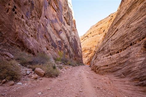 16 Epic Day Hikes in Capitol Reef National Park – Earth Trekkers