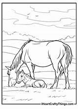65 Horse Coloring Pages 100% Free Printables sketch template