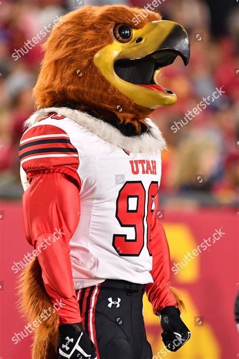 Los Angeles Cautah Utes Mascot Swoop Editorial Stock Photo - Stock ...