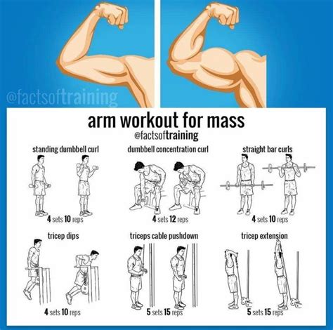 Arm Workout For Muscle Growth | Arm workout, Biceps workout, Bodybuilding workouts