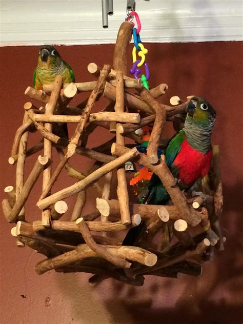 Diy Bird Toys, Diy Birds, Cockatiel, Budgies, Parrots, Parrot Play ...