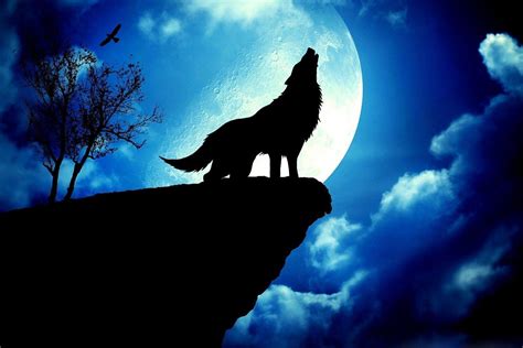 Wolf Howling At The Moon Wallpapers - Wallpaper Cave