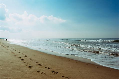 Free stock photo of beach, footprint, salt water