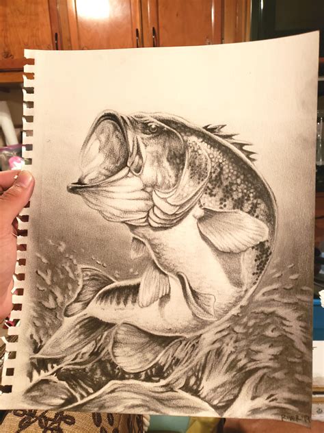 Largemouth Bass Drawing | Fish artwork, Fish drawings, Cool pencil drawings