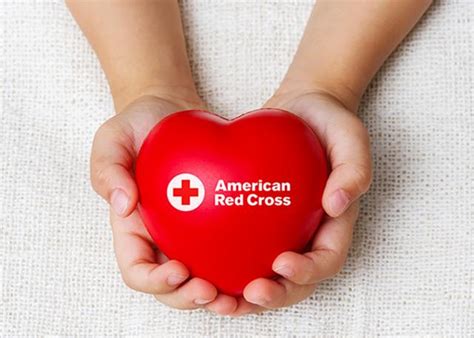 Red Cross Urges Donations Amid Hurricane Helene's Blood Drive Cancellations | RiverBender.com