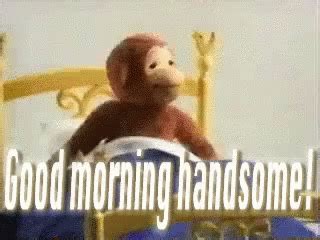 Good Morning Baby GIF - GoodMorningBaby GoodMorning - Discover & Share GIFs