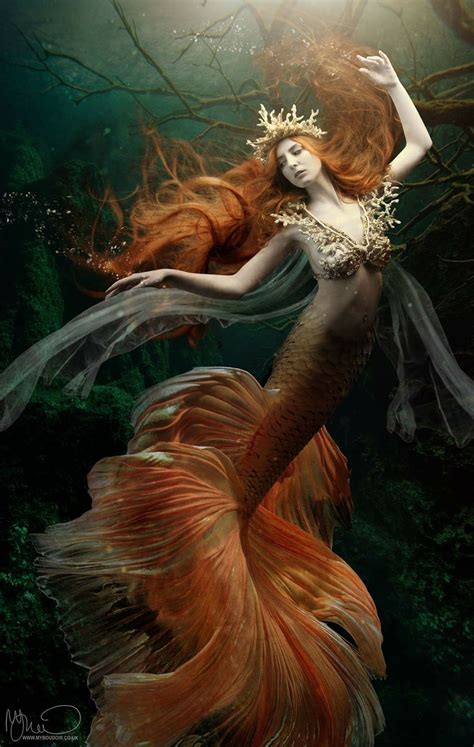 Pin on Mermaid art | Mermaid artwork, Mermaid photography, Fantasy mermaids