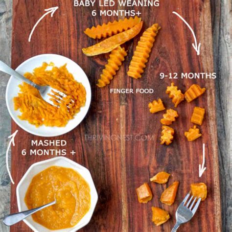 Baby Puree Recipes 8 Months | Deporecipe.co