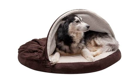 5 Cozy Dog Beds with Attached Blankets - PatchPuppy.com