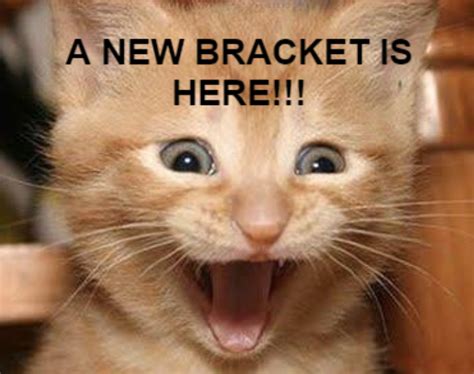 Excited Cat Meme Generator - Piñata Farms - The best meme generator and ...