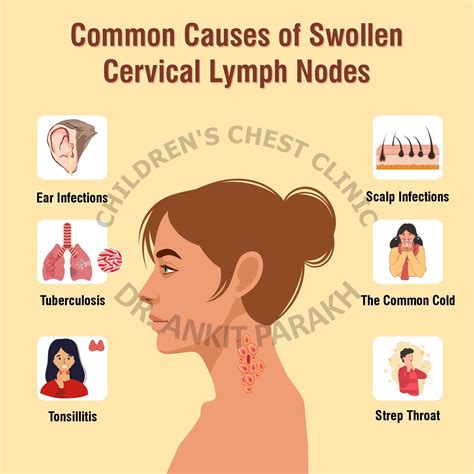 What are the common causes of enlarged cervical lymph nodes in children ...