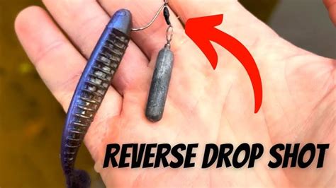 The Amazing Reverse Floating Drop Shot Rig! | Drop shot rig, Drop shot fishing, Bass fishing tips