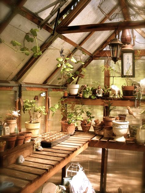 Pin de Annie LaPoint em i L.O.V.E. my greenhouse! | Estufa no quintal ...