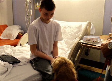 A Day in the Life of a Therapy Dog | by NewYork-Presbyterian | Medium