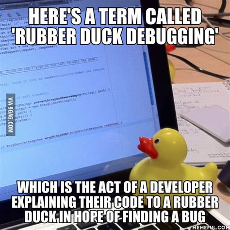 "Rubber duck debugging" - 9GAG