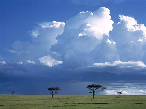 Storm over the Savannah / Masai Mara Reserve / Kenya / Africa wallpapers and images - wallpapers ...