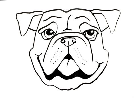 Animals Faces Drawing at GetDrawings | Free download