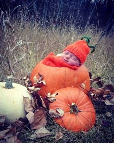 These Baby-In-A-Pumpkin Photoshoots Are The Most Adorable Fall ...