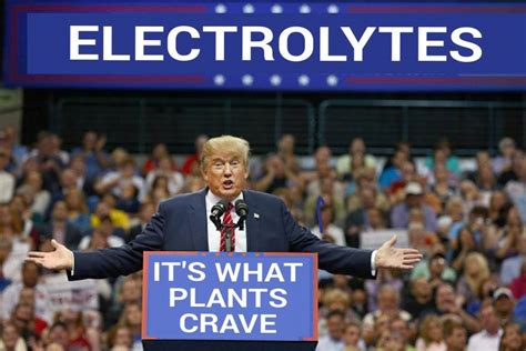 Idiocracy - JustPost: Virtually entertaining