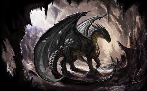 Black Dragon Wallpapers - Top Free Black Dragon Backgrounds - WallpaperAccess