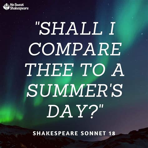 Sonnet Examples: 5 Famous Sonnet Styles Explained ️