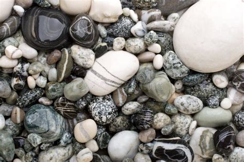 Black and white pebbles. stock image. Image of mineral - 4116403