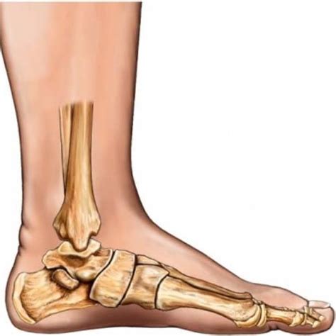 Best Physiotherapy Treatment for Flat Foot in Mumbai | Theracure by Dr Pooja Mehta