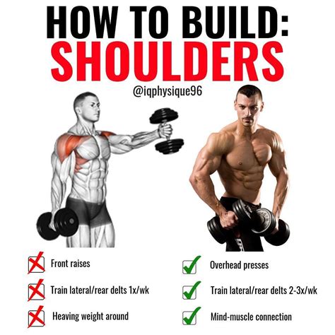 The 4-Week Dumbbell Workout Plan Part 4: Shoulders - GymGuider.com ...