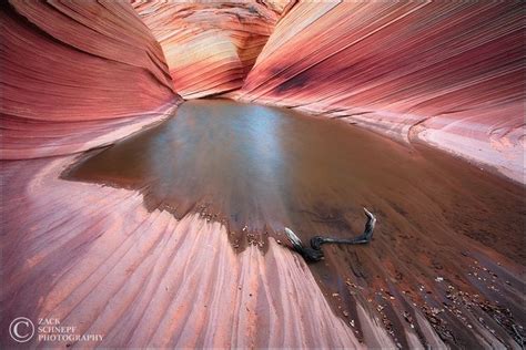 17 Best images about The Wave - Arizona on Pinterest | Peter lik ...