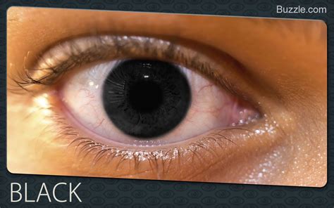 black eyes | Rare eye colors, Eye color facts, Rare eyes