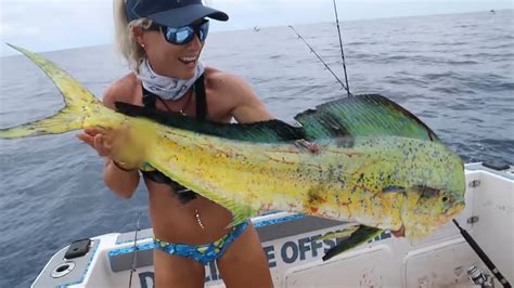 GIANT DOLPHIN Caught Deep Sea Fishing! Mahi Mahi Fishing- How to Catch Mahi (Stuart Florida ...