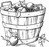 Sketch Of Apple Basket Coloring Pages  Best Place To Color sketch template