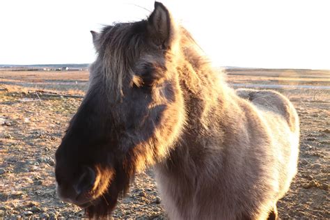 27 Gorgeous Places to Visit in Iceland’s Southwest ★ I Travel for the Stars - Art & History ...