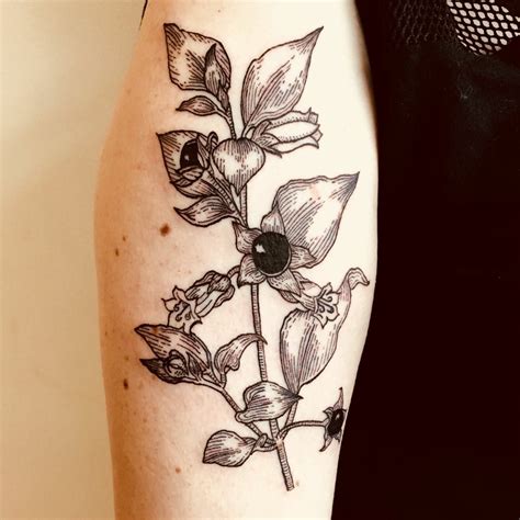 Belladonna Flower Tattoo – Telegraph