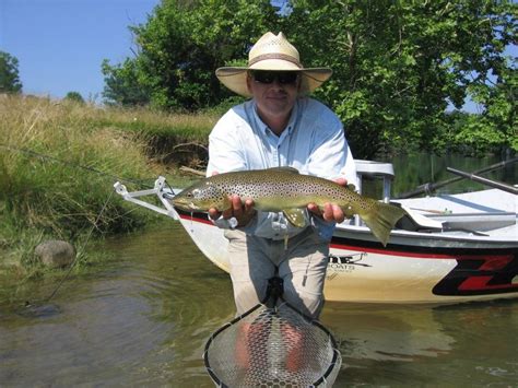 Watauga River Lodge - Fly fishing Lodge | Fly dreamers directory