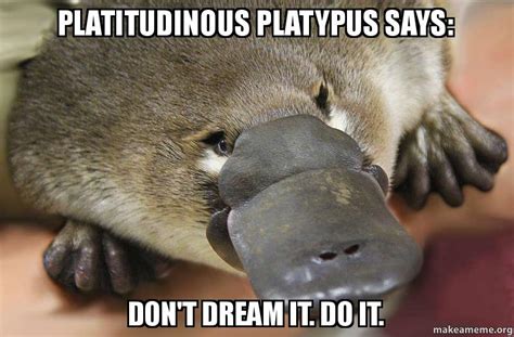 19 Very Funny Platypus Meme Pictures and Images - MemesBoy