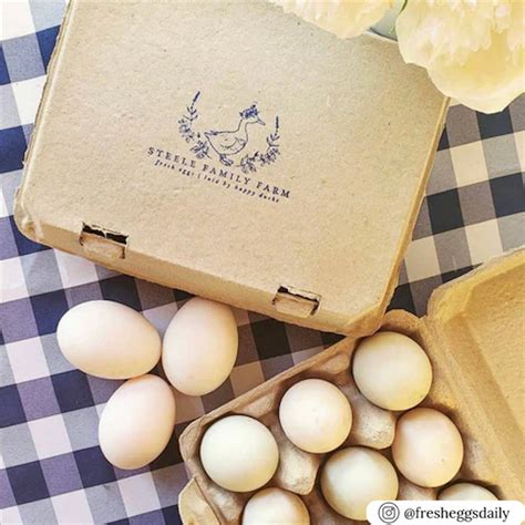 Blank Un-printed Paper Egg Cartons – EggCartons.Com