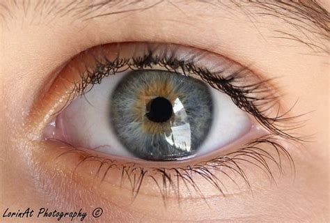 10 Stunning Pictures of Blue-Grey Eyes