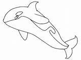 Killer Whale Printable Coloring Page  Free Pages sketch template