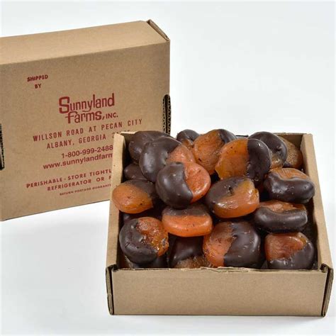 Order Dark Chocolate Dipped Apricots - Free Shipping - Sunnyland Farms