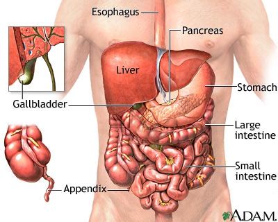 Stomach Ache Diagram