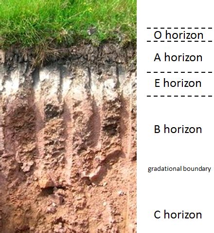 5.4 Weathering and the Formation of Soil – Physical Geology